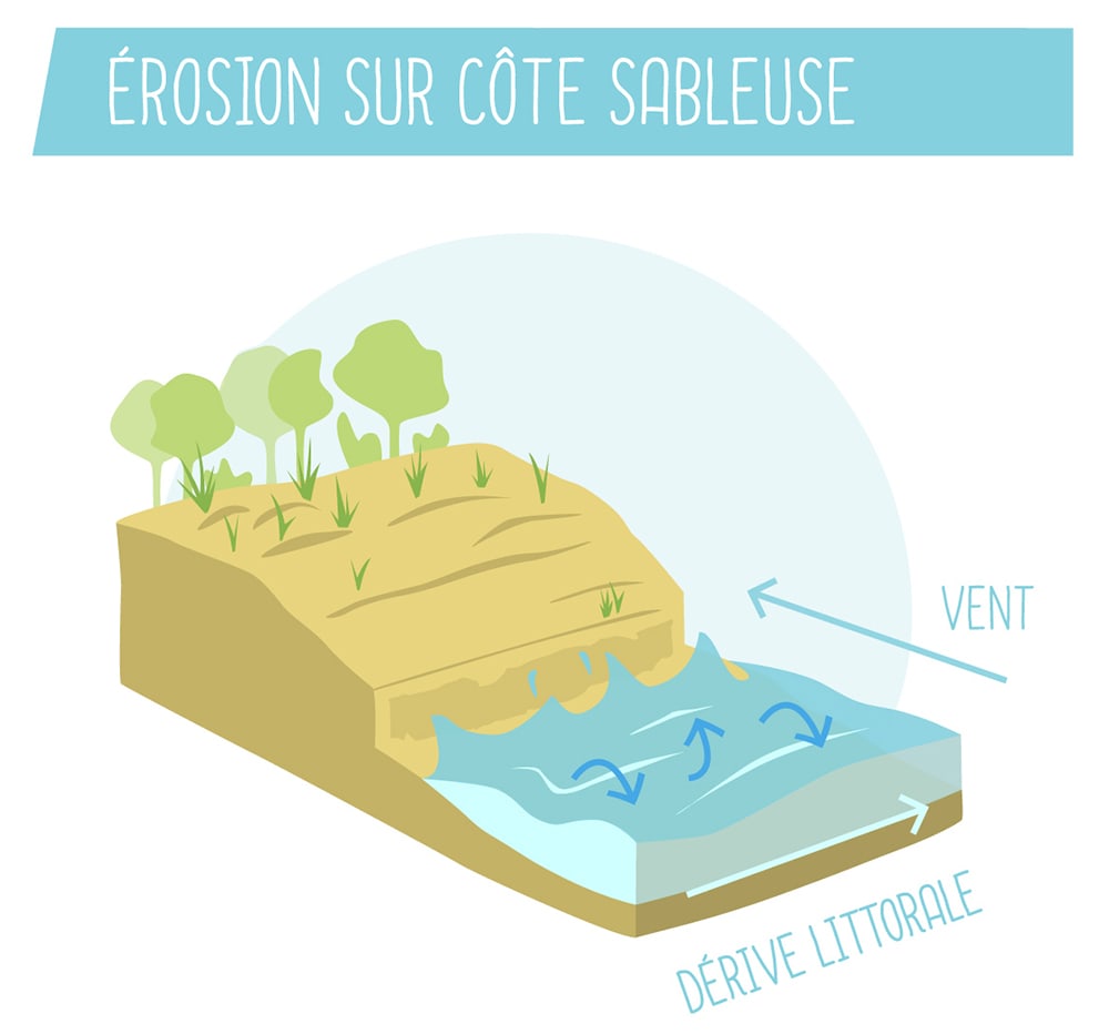 érosion côte sableuse Surfrider illustration les risques d'erosion et de submersion
