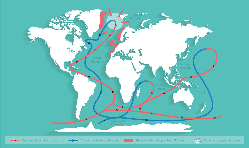 Carte de la circulation thermohaline : les courants chauds de surface en rouge et les courants froids de profondeur en bleu forment une boucle autour du globe, avec une zone de plongée des eaux dans l’Atlantique Nord