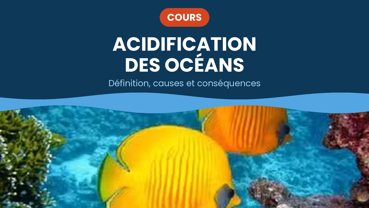 acidification des oceans