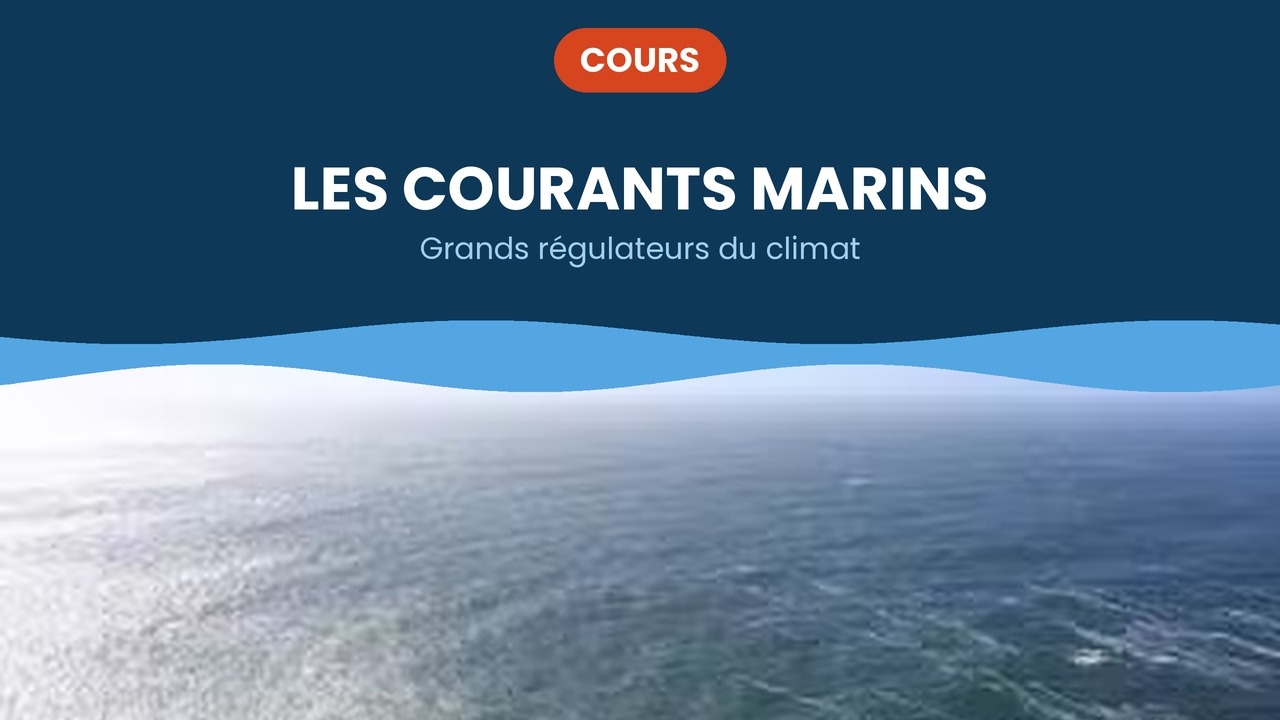 les courants marins