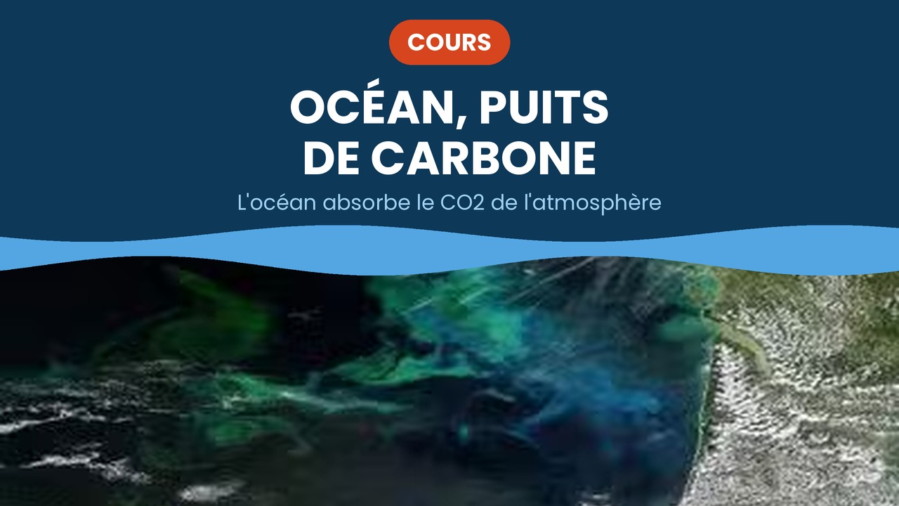 ocean puit de carbone