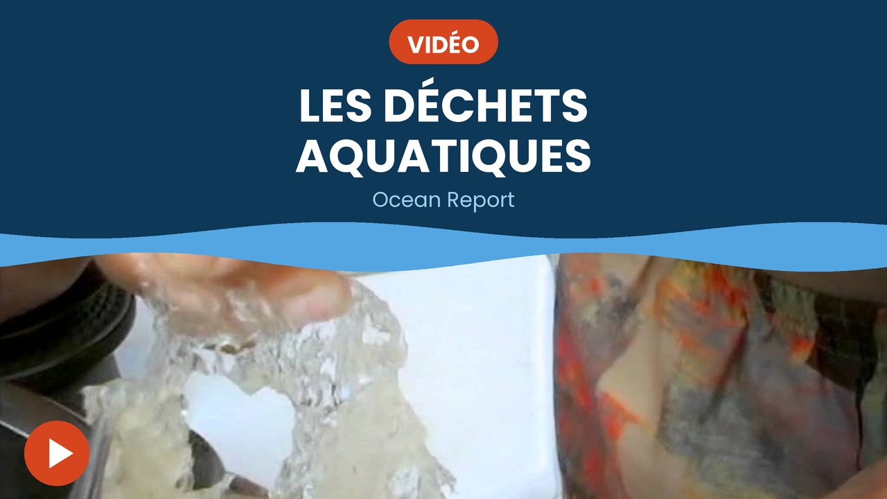 ocean report déchets aquatiques