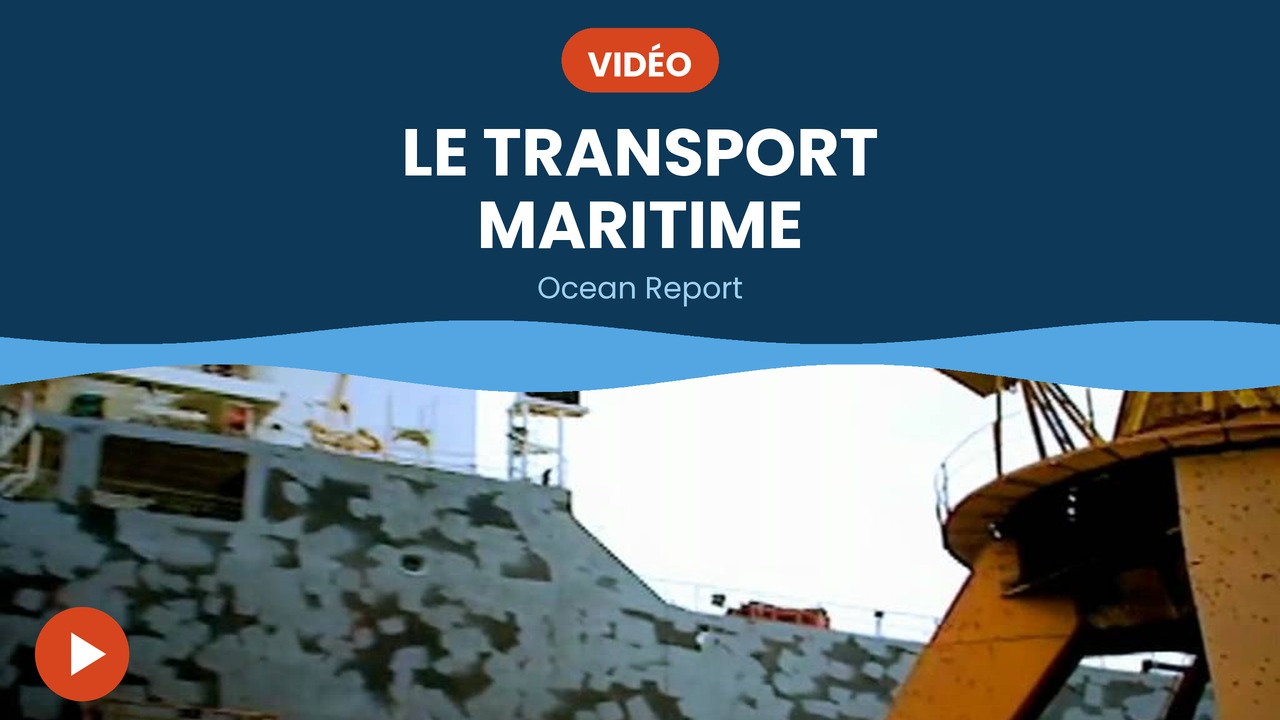 ocean report transport maritime