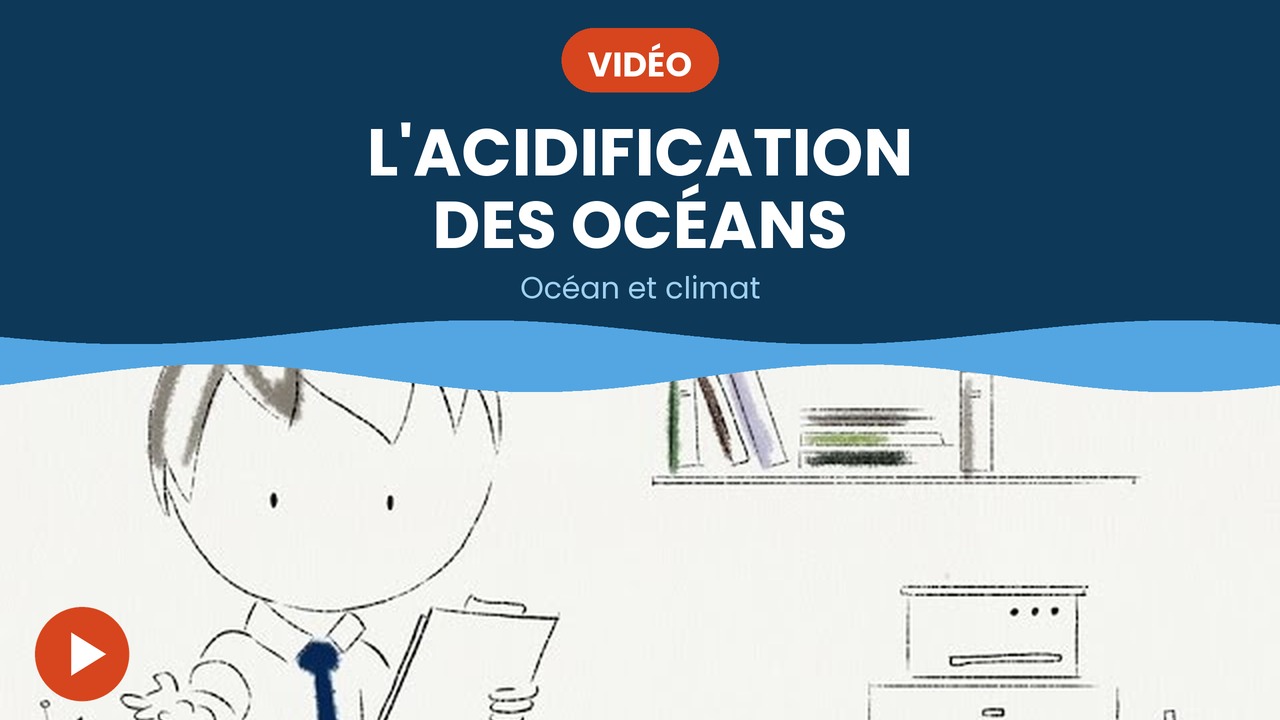 acidification des oceans