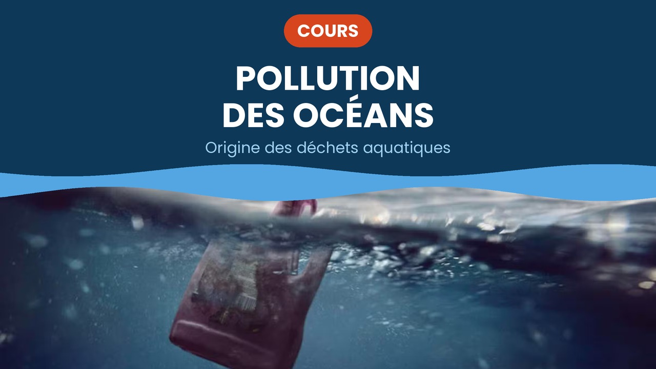 origine des déchets aquatiques