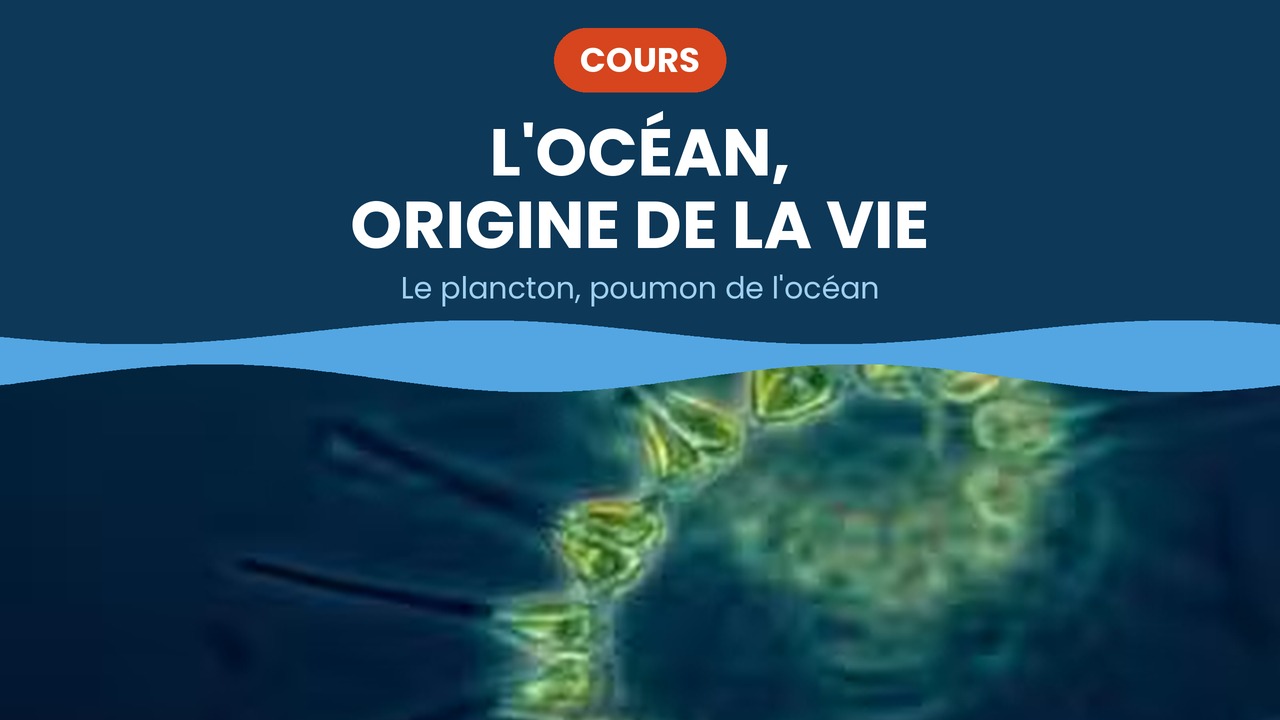 l'ocean origine de la vie