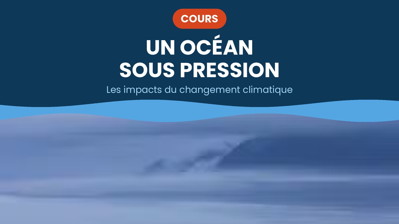 un ocean sous pression
