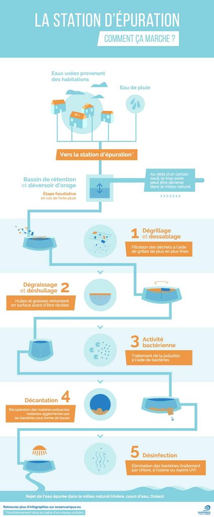 Infographie du fonctionnement d’une station d’épuration : les eaux usées et les eaux de pluie arrivent à la station, passent par un bassin de rétention, puis par les étapes de dégrillage, dessablage et déshuilage, traitement biologique, décantation et désinfection avant d’être rejetées