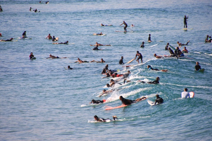 Des dizaines de surfeurs dans l’eau, assis ou allongés sur leur planche, à la Côte des Basques
