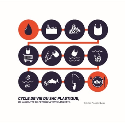 Infographie « Cycle de vie du sac plastique, de la goutte de pétrole à votre assiette » : une suite de 12 pictogrammes reliés par une ligne, de la goutte de pétrole à l’usine, aux granulés, au sac, au caddie, au sac abandonné, au sac en mer, à sa fragmentation, au poisson qui l’avale, à la pêche et enfin à l’assiette.