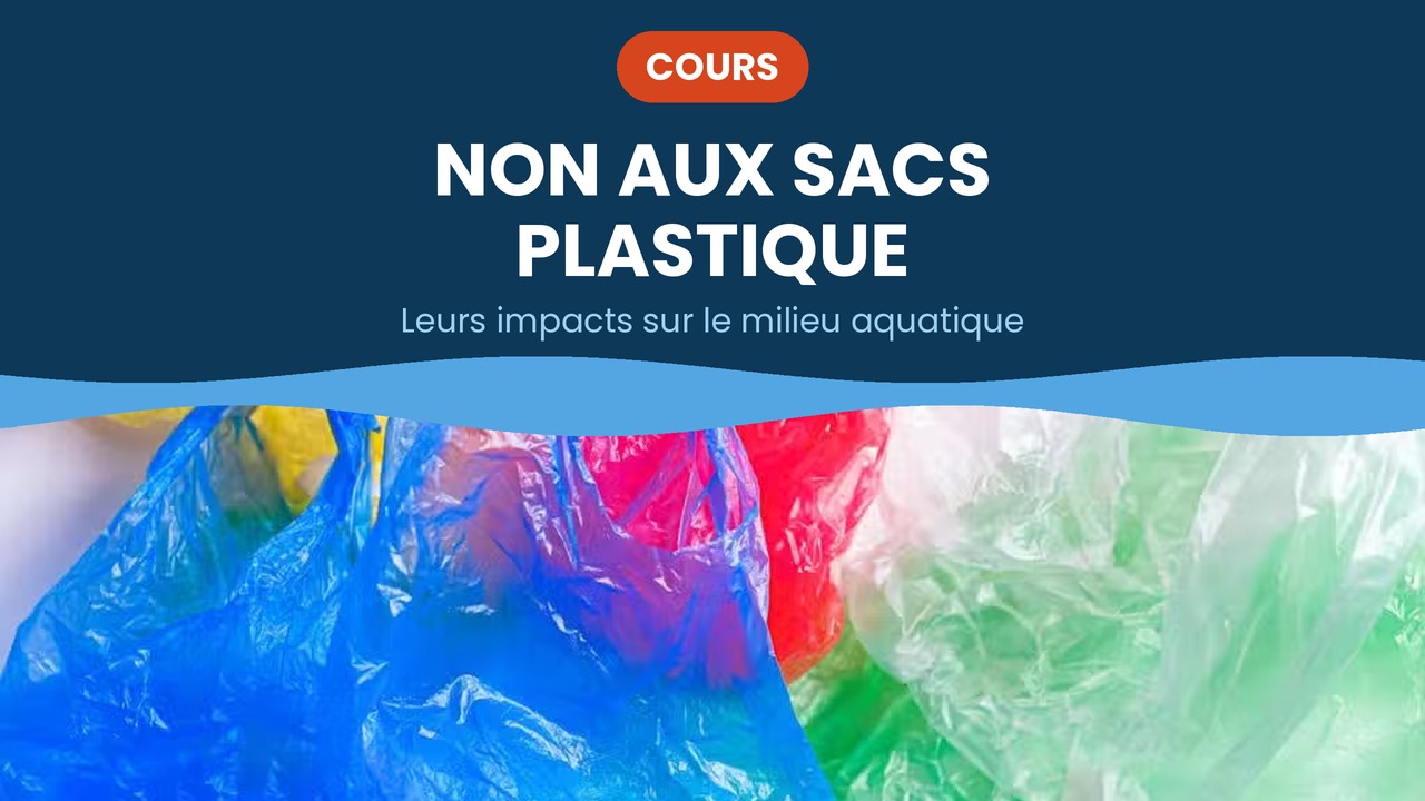 non aux sacs plastique