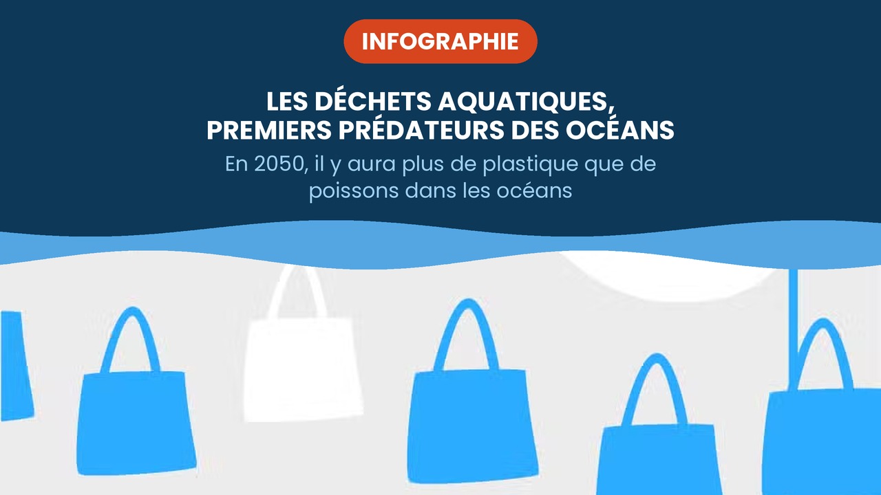 déchets aquatique premiers prédateurs des océans