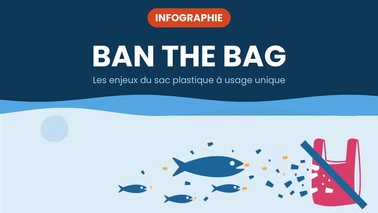 ban the bag
