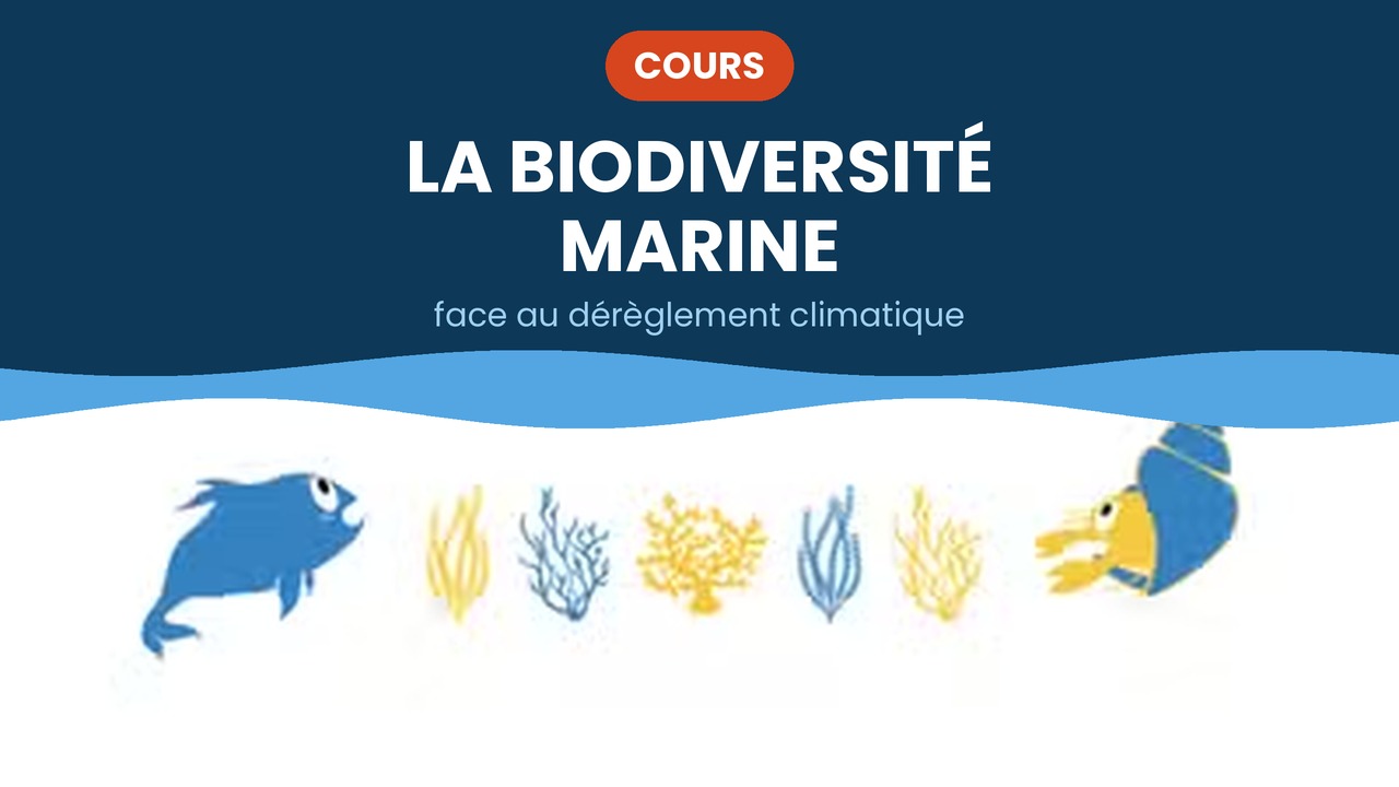 biodiversité marine