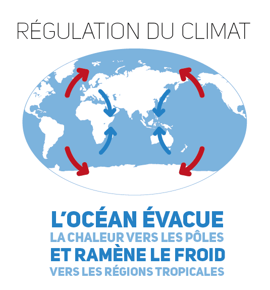 Carte du monde montrant les courants océaniques : l’Océan évacue la chaleur vers les pôles et ramène le froid vers les régions tropicales