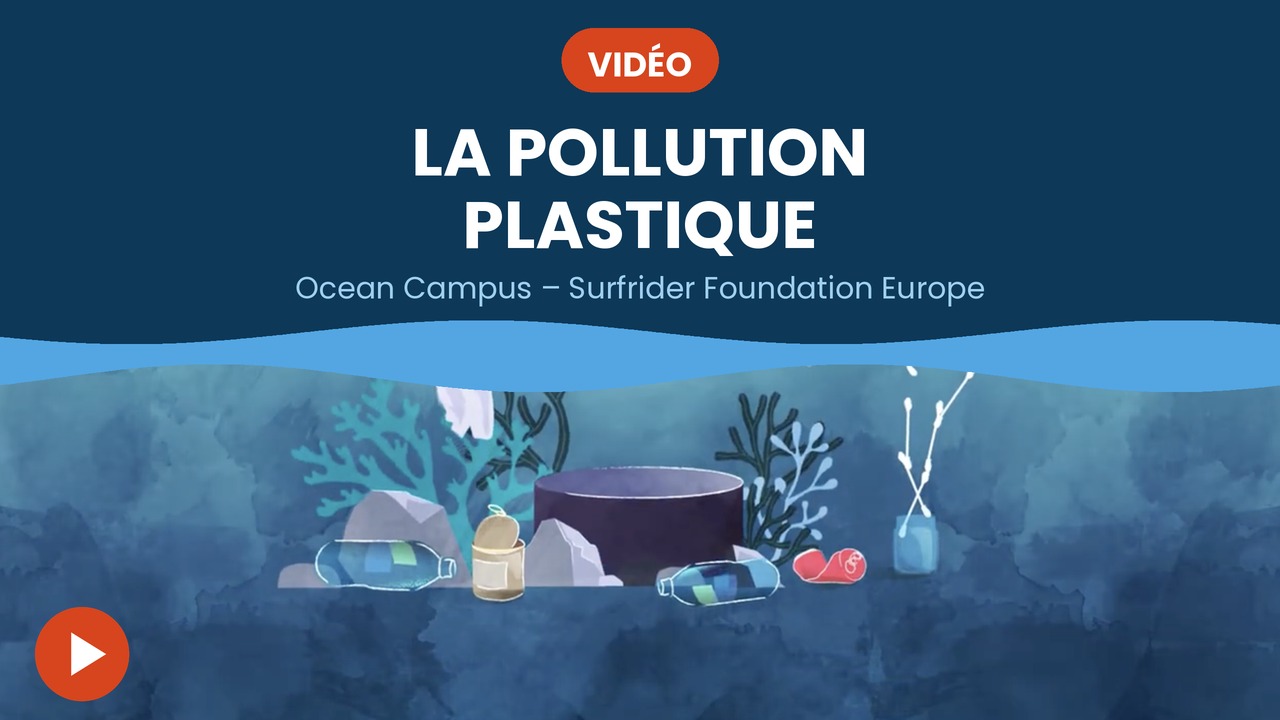 pollution par les bouteilles plastique