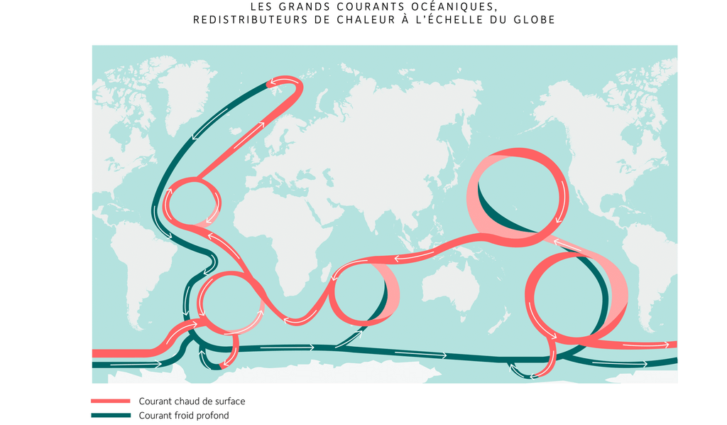 Carte du monde des grands courants océaniques : les courants chauds de surface en rouge et les courants froids profonds en vert forment une boucle qui redistribue la chaleur à l’échelle du globe