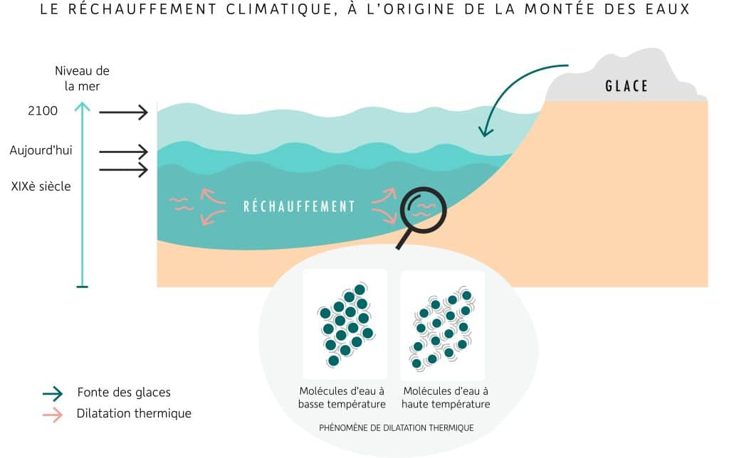 Schéma de la montée des eaux : le niveau de la mer monte du XXe siècle à 2100 à cause de la fonte des glaces et de la dilatation thermique ; les molécules d’eau chaude sont plus espacées que celles d’eau froide