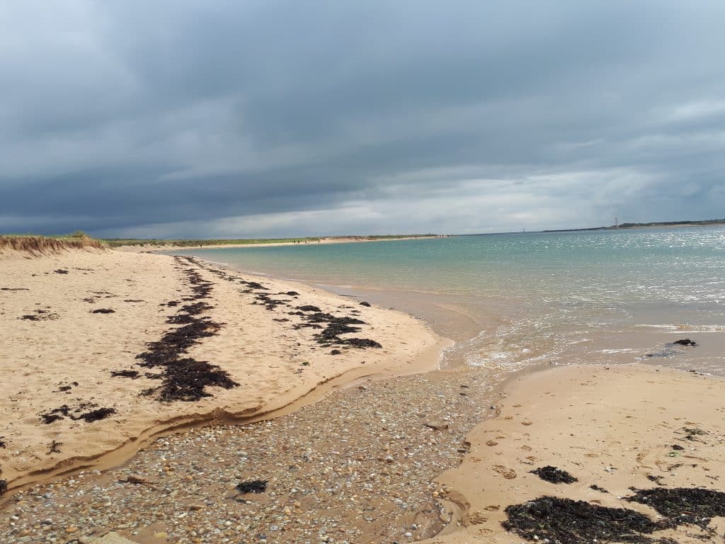 Plage de sable sous un ciel nuageux, avec plusieurs lignes d’algues brunes déposées par la marée le long du rivage.