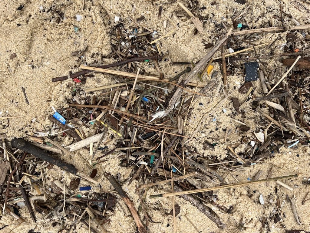 Gros plan sur une laisse de mer faite de brindilles et de bois flotté, parsemée de petits morceaux de plastique colorés.