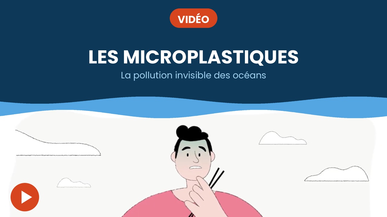 pollution par les microplastiques