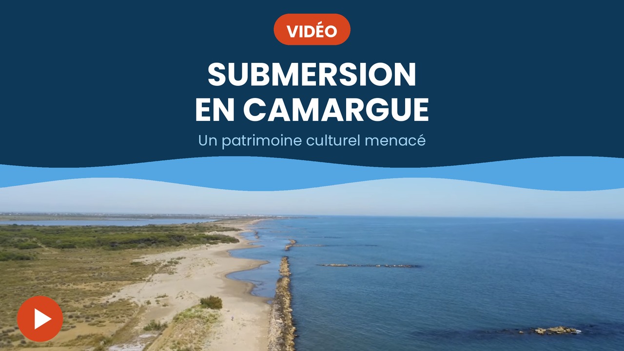 submersion en camargue