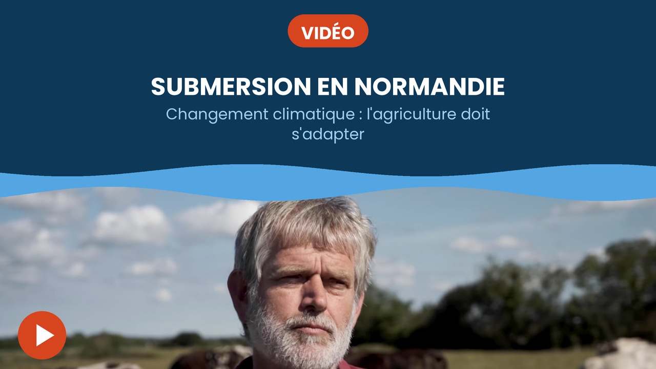 submersion en normandie