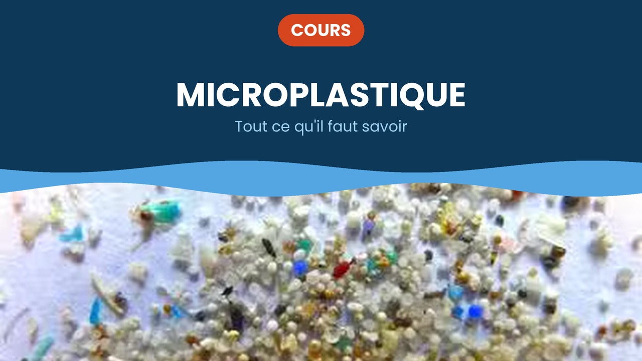 les microplastiques