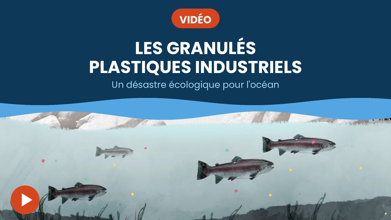 grannulés de plastique industriel