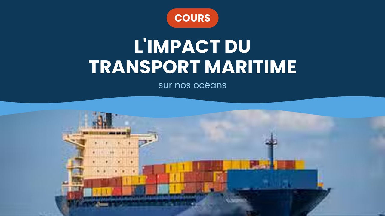 impact du transport maritime