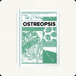 Ostreopsis