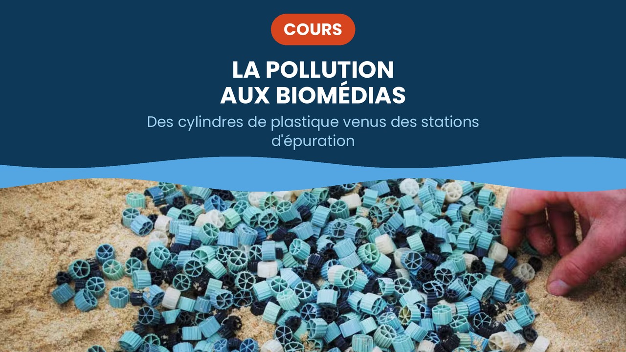 pollution par les biomedias