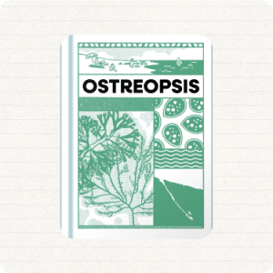 Ostreopsis