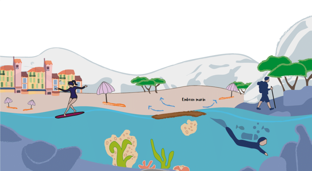 Illustration d’une plage méditerranéenne : un surfeur et un plongeur dans l’eau, des baigneurs sur la plage et un randonneur sur le sentier côtier, exposés aux embruns marins poussés par le vent.
