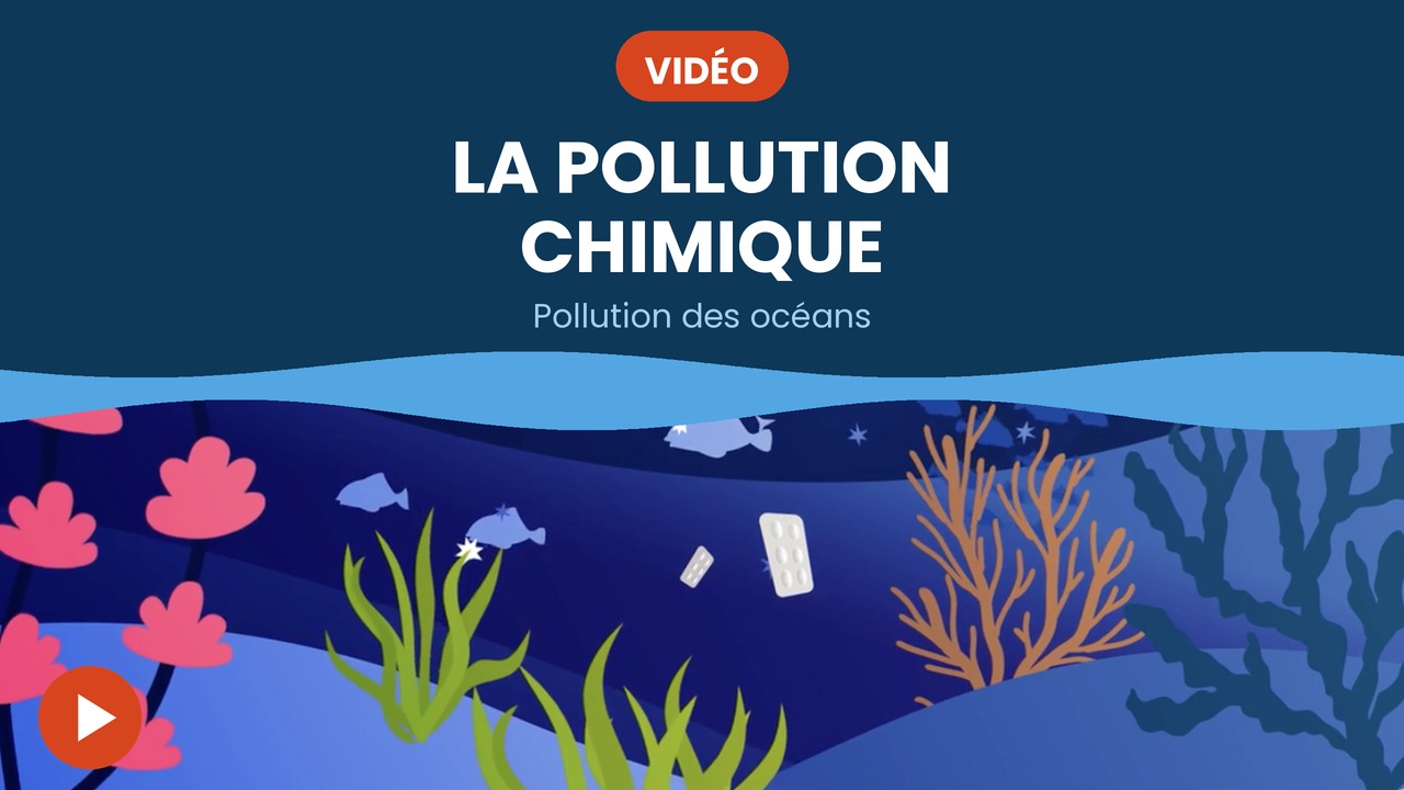 pollution chimique vidéo