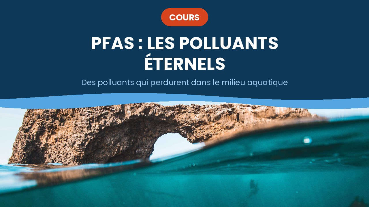 pfas : polluants eternels