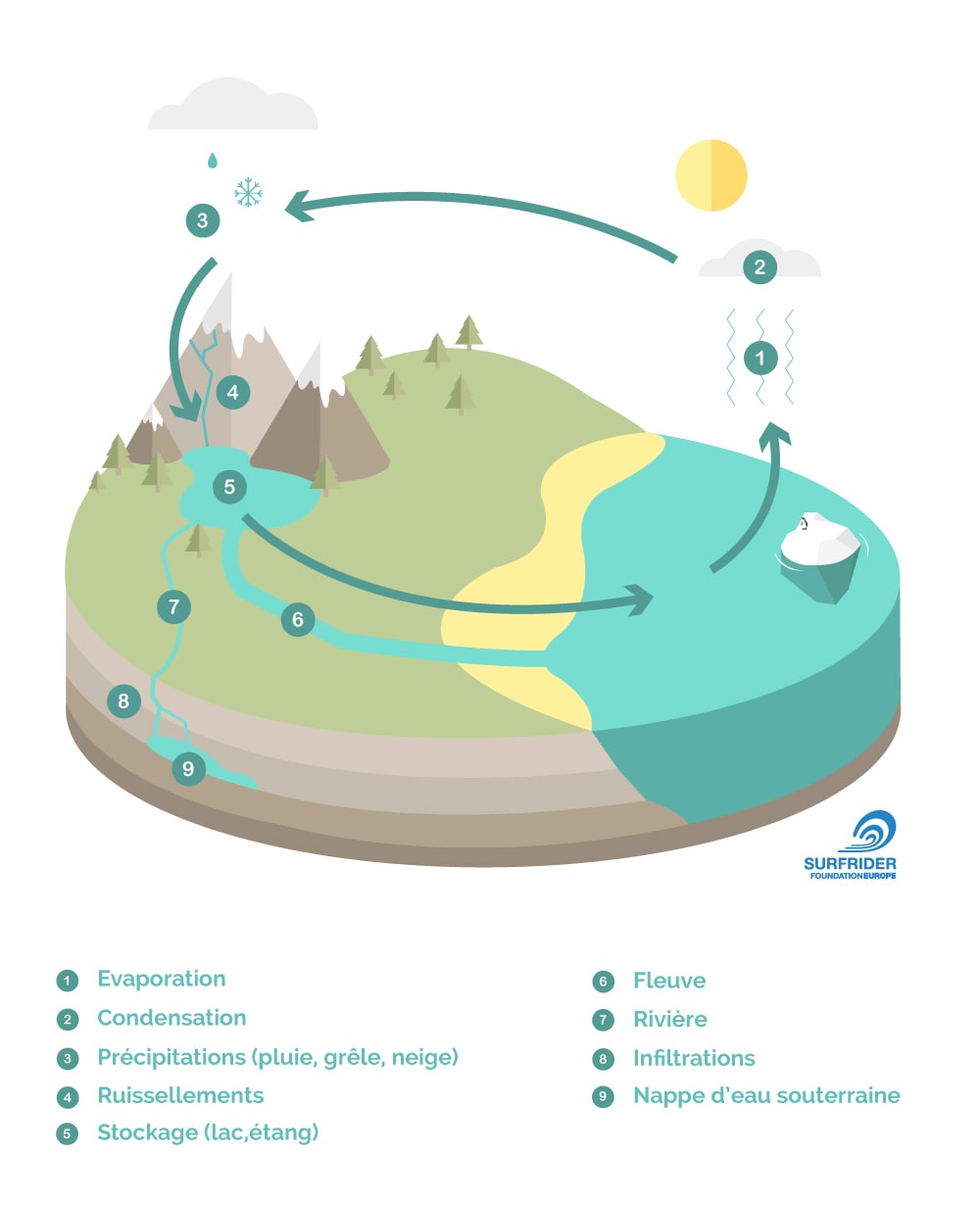 Le cycle de l'eau, les grandes étapes