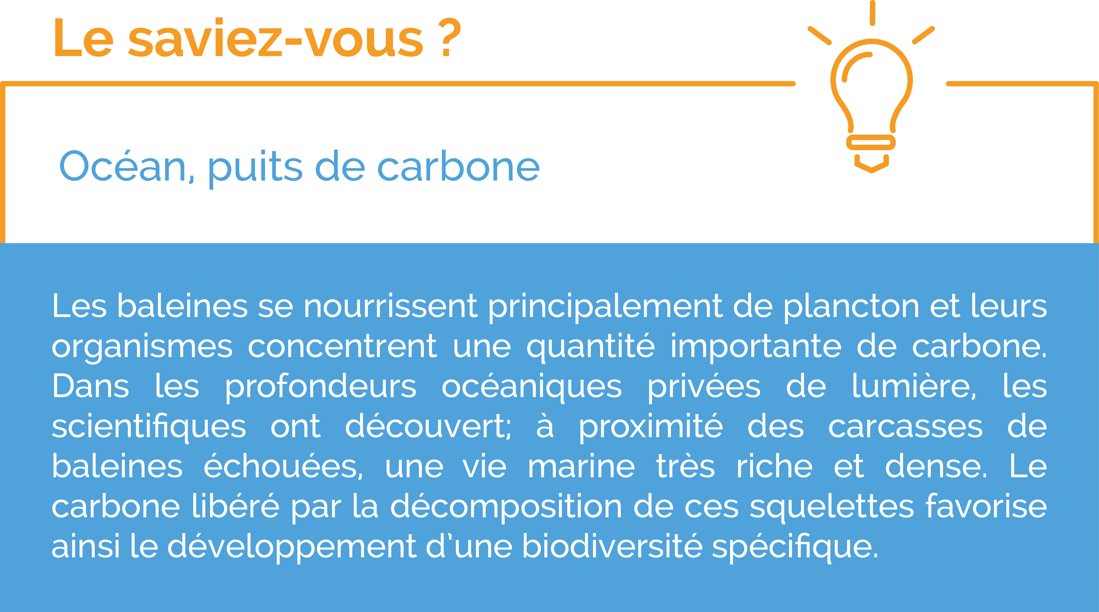 le saviez vous océan puits de carbone surfrider Océan, puits de carbone